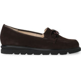 Pisa 301578 Dark Brown