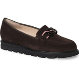 Pisa 301578 Dark Brown